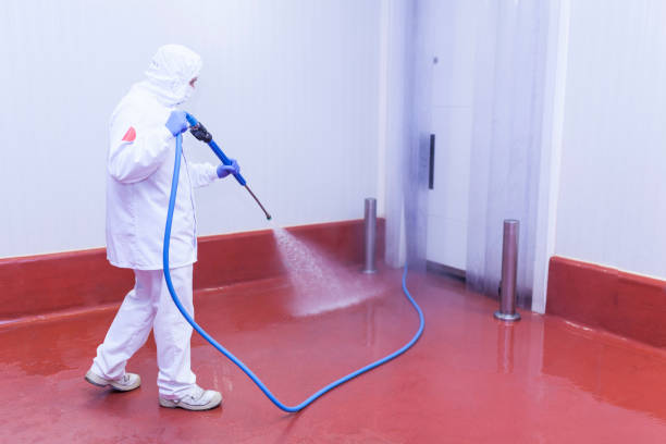 Best Oil and Grease Removal from Surfaces in Bullhead City, AZ