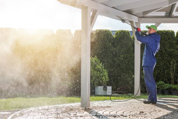 Best Graffiti Removal Services in Bullhead City, AZ